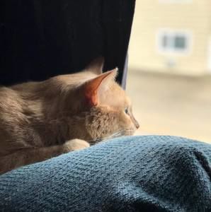 Meet your Posher, Kristy